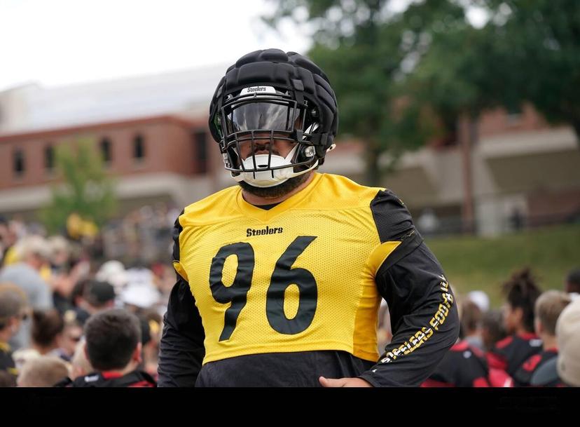 Steelers Sign Familiar DT to Bolster Defensive Line After Injury Shakeup
