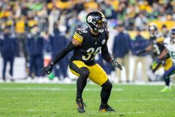 Mother of Steelers Legend Shares Son’s Talk, Dividing Fans, “What do you mean?