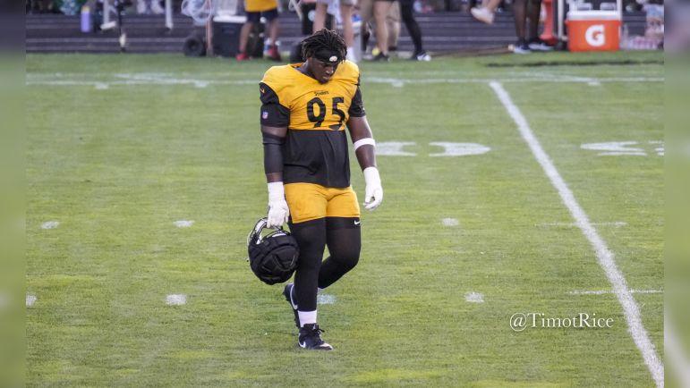 Steelers Defense Takes Another Hit as Key Starter Suffers Injury