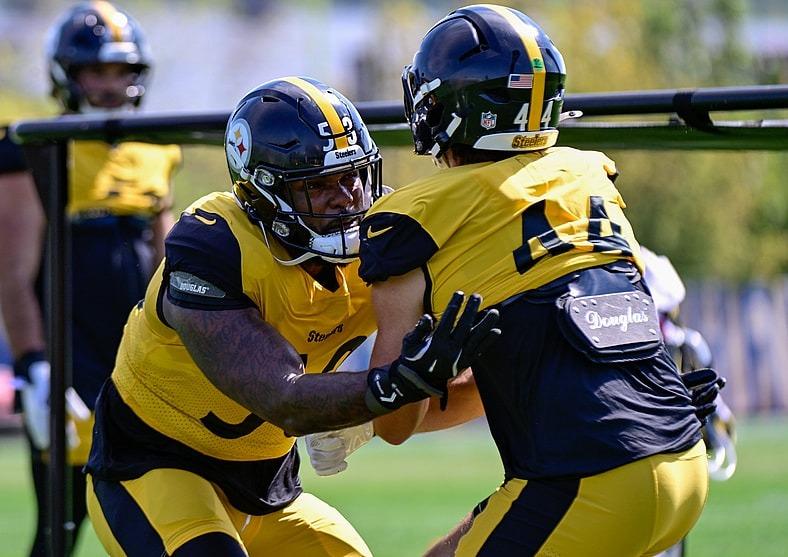 Steelers Cut Veteran LB on the Spot After Disappointing Start to the Season