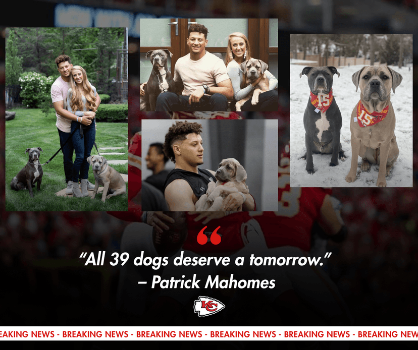Patrick Mahomes’ Quiet Act of Kindness Saves a Rescue Shelter and 39 Dogs from Closing Their Doors
