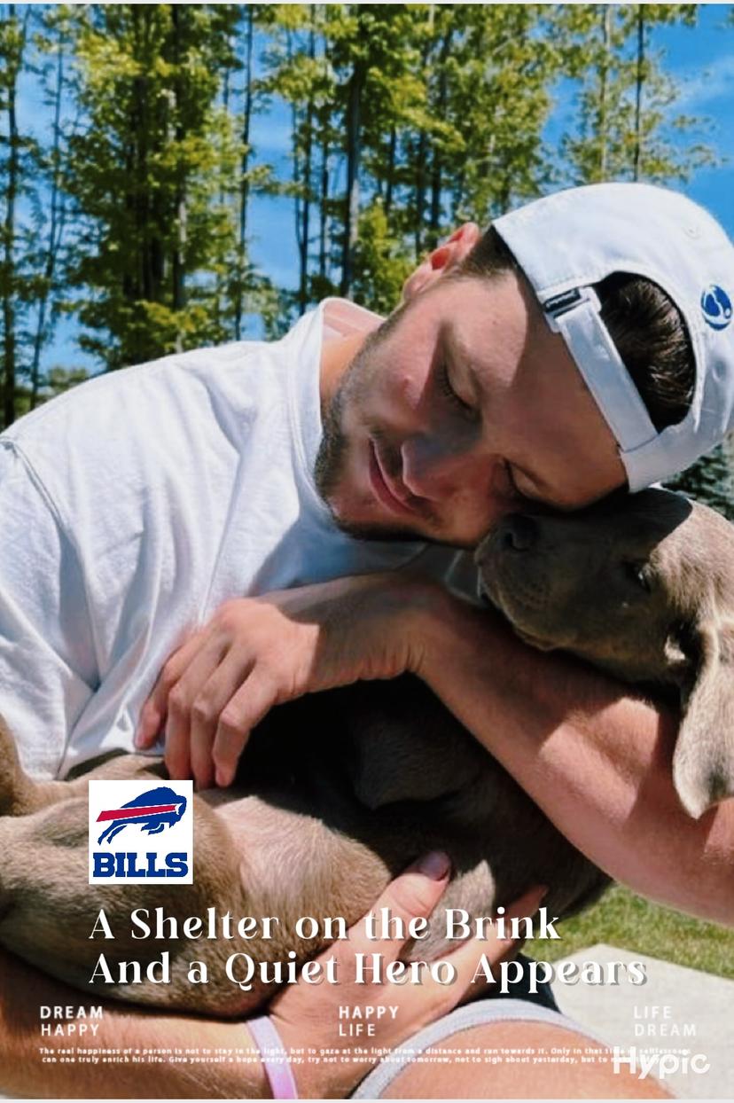 Josh Allen’s Quiet Act of Kindness Saves 52 Dogs and Revives a Failing Rescue Shelter