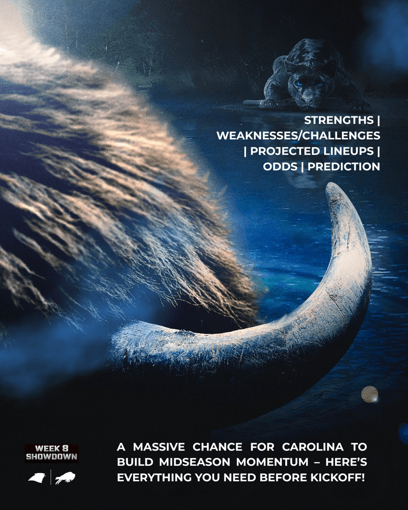 Key Pre-Game Insights for Panthers Fans: Bills vs. Panthers Week 8