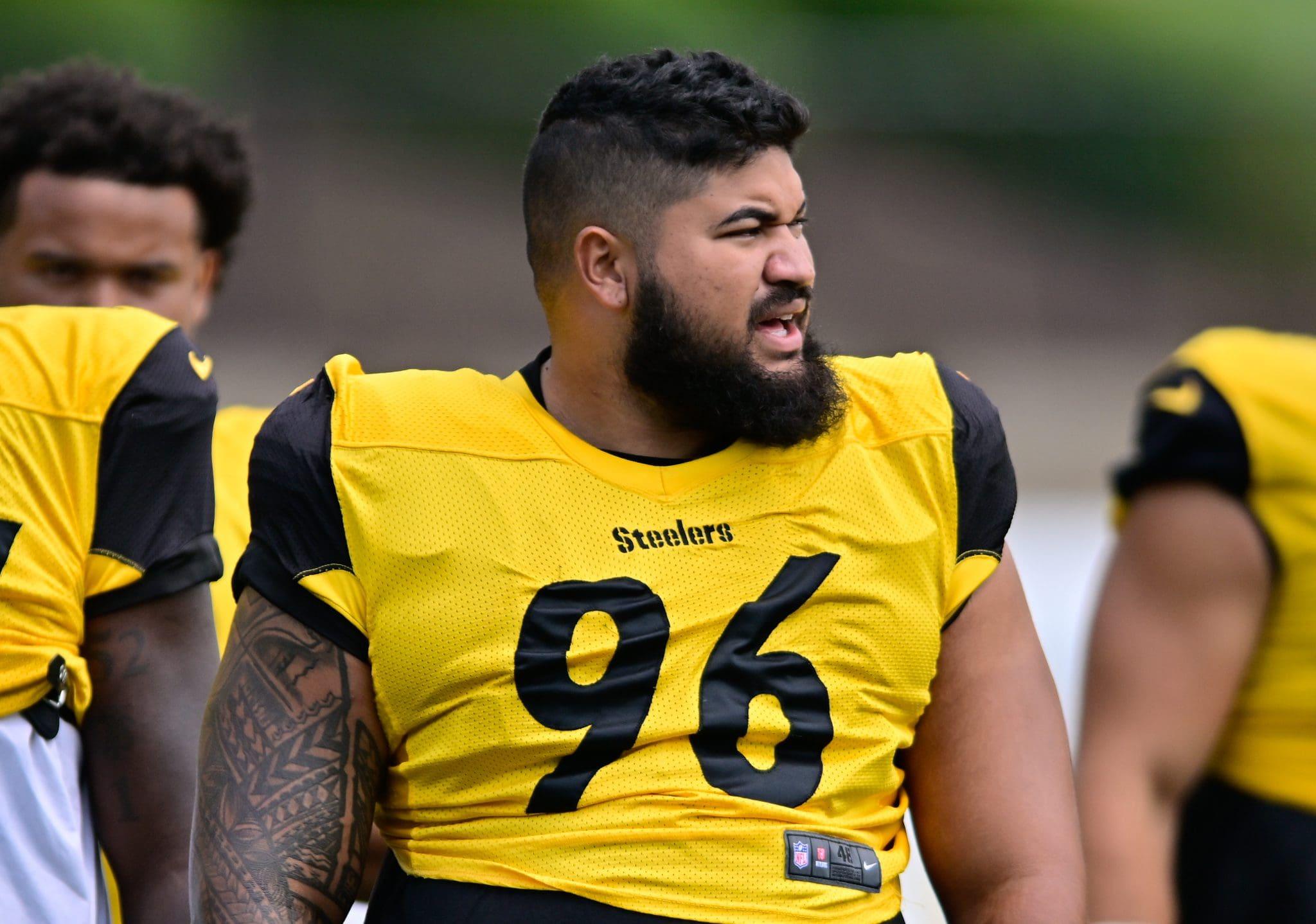 Steelers Release Run-Stopping NT Breiden Fehoko